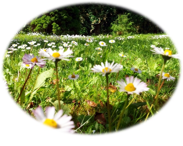 Sommarang.jpg